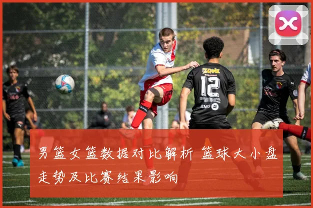 男篮女篮数据对比解析 篮球大小盘走势及比赛结果影响
