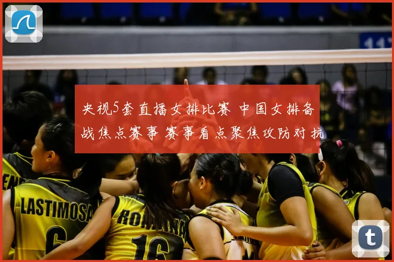 央视5套直播女排比赛 中国女排备战焦点赛事 赛事看点聚焦攻防对抗