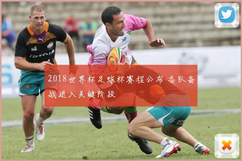 2018世界杯足球杯赛程公布 各队备战进入关键阶段