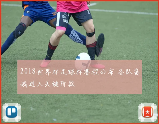 2018世界杯足球杯赛程公布 各队备战进入关键阶段