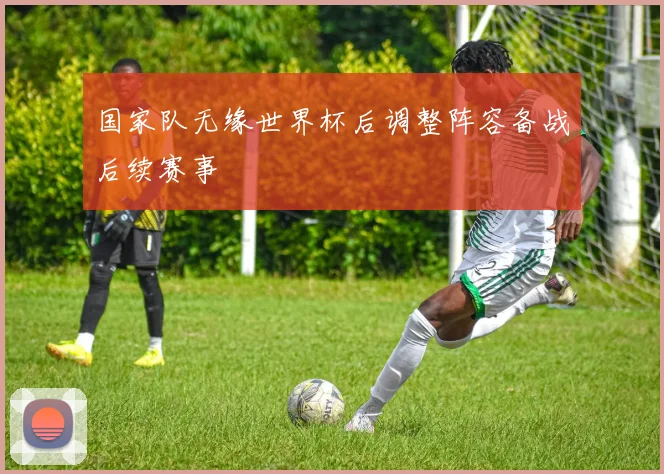 国家队无缘世界杯后调整阵容备战后续赛事